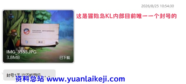 真实效果截图